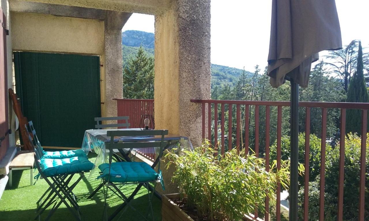 Appartement Climatise Avec Terrasse Au Coeur De Nyons Buitenkant foto